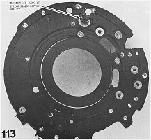 113