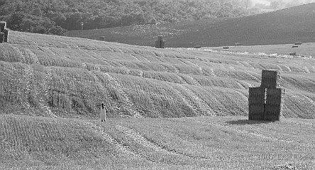 i-000114