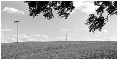 img-0043