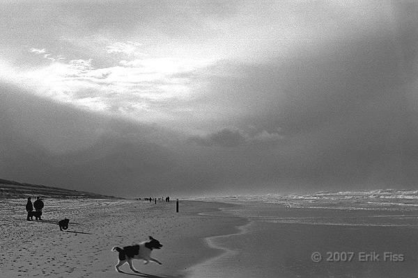 Texel - click to go back to thumbnails