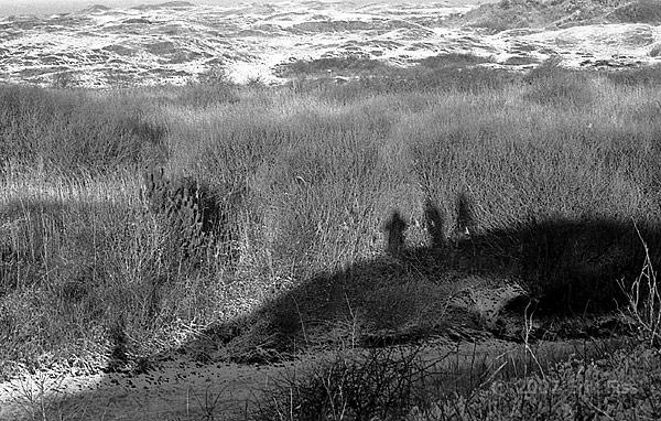 Texel - click to continue