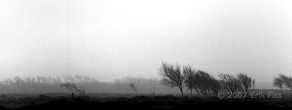 Texel - click to continue