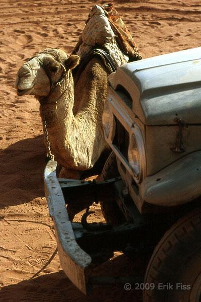 Wadi Rum - click to continue