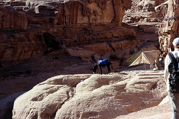 Petra - click to continue