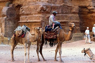 Petra