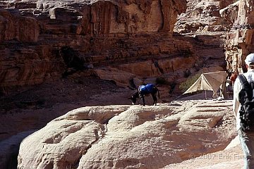 Petra
