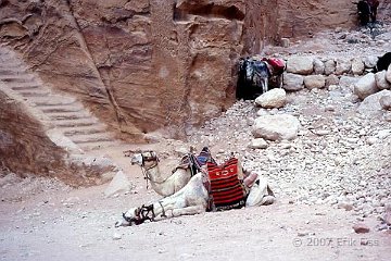 Petra