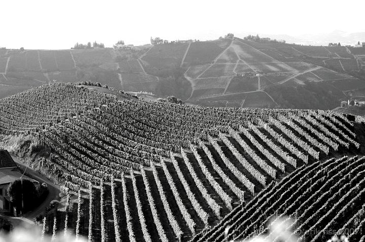 Langhe (Vigna) - click to continue
