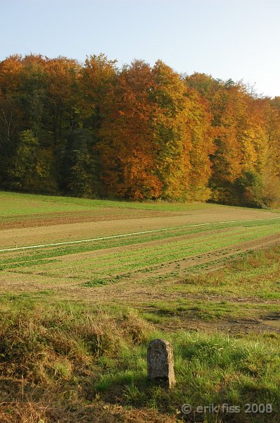 Allschwil - click to continue