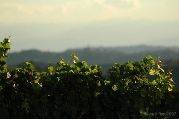 Langhe