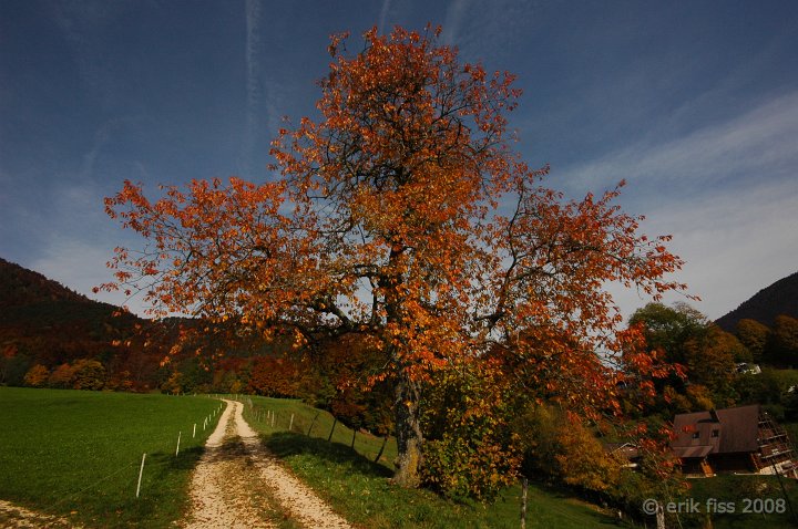 Corcelles - click to continue