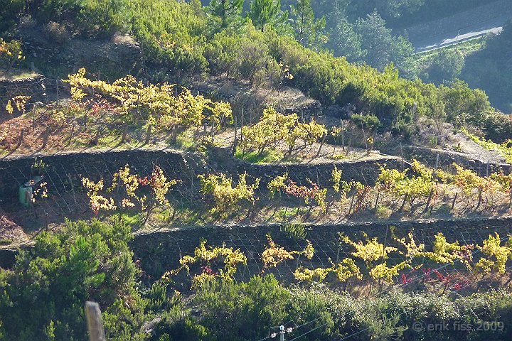 Cinque Terre - click to continue