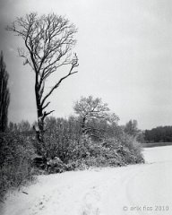 Pölchow