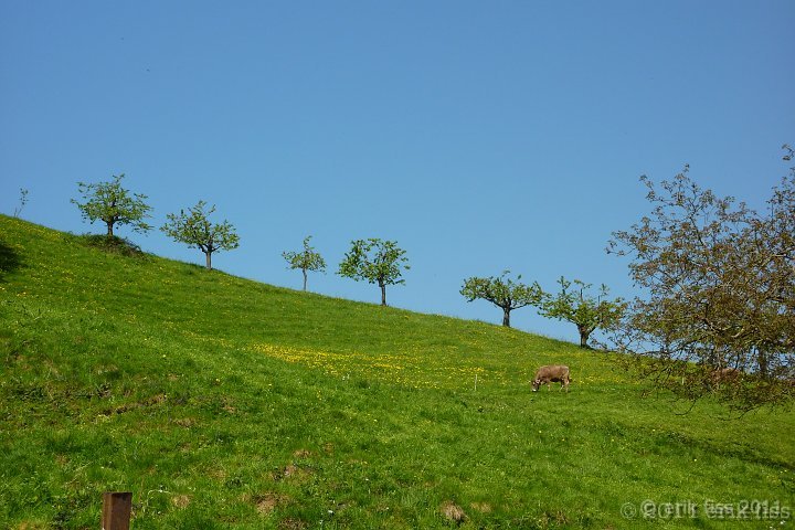 Erschwil - click to continue