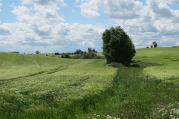 Wahrstorf