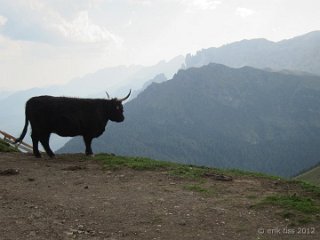 Langkofel