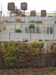 Rot an der Rot