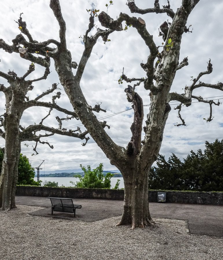 Murten - click to continue