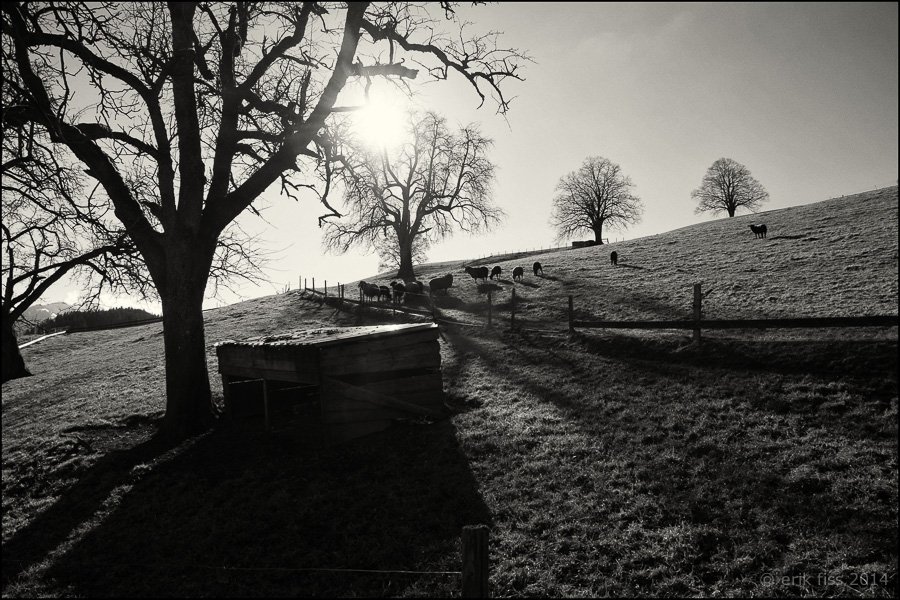 Entlebuch - click to continue