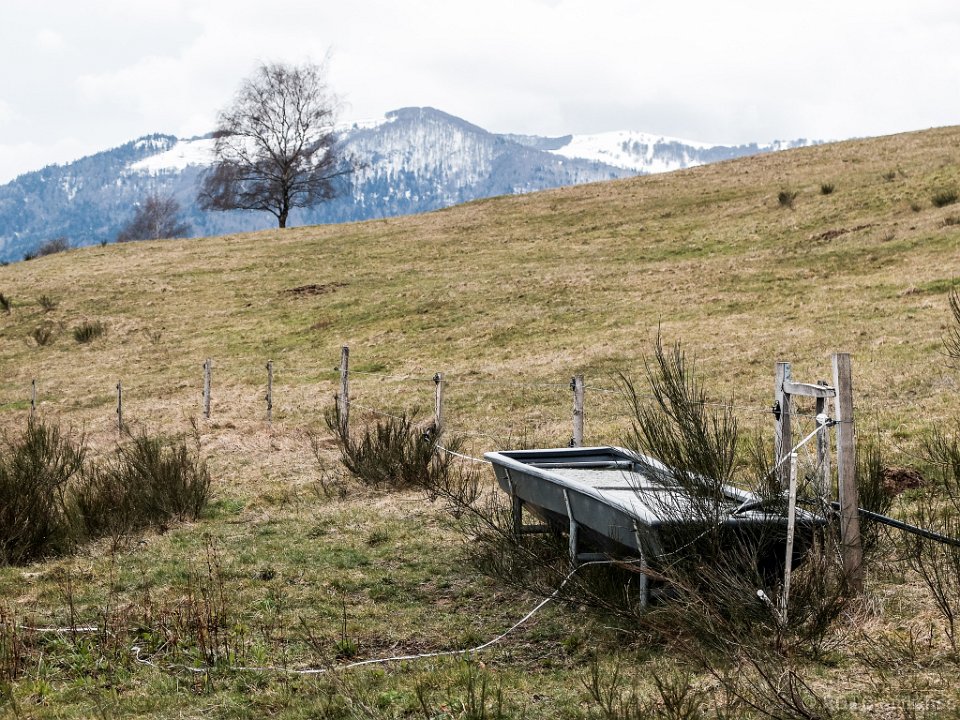 Goldbach-Altenbach - click to continue