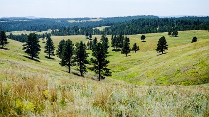 Wind Cave NP, SD