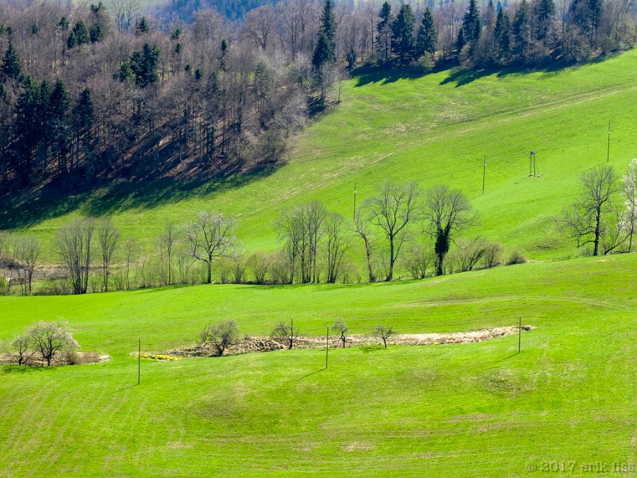 Green - click to continue