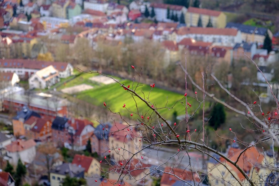 Jena, December - click to continue