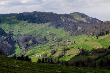 Fences (Ob. Hauberg, SO)