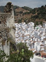 Casares