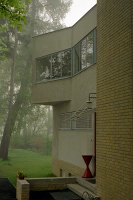 Fog