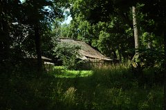 20090803n015