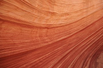 The Wave