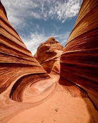 The Wave