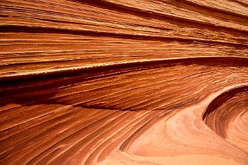 The Wave