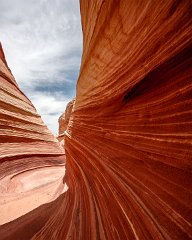 The Wave