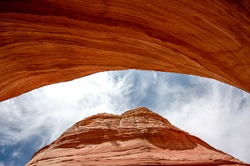 The Wave