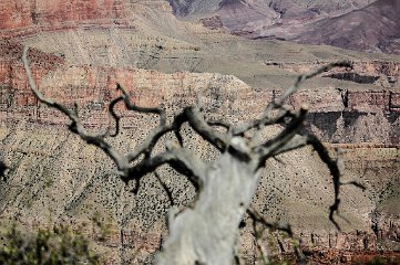 Grand Canyon NP, North Rim