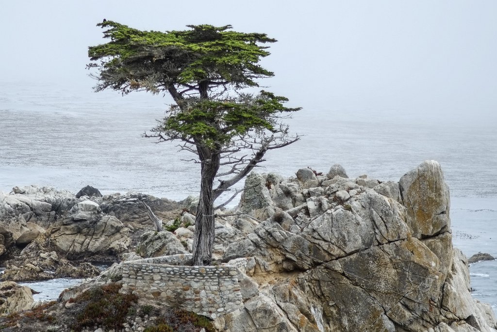 17 Mile Drive - click to continue