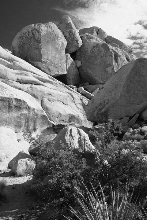 Joshua Tree NP - click to continue
