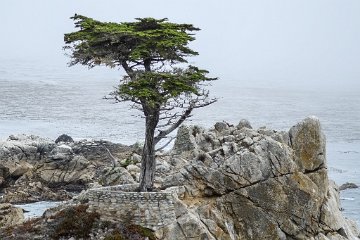 17 Mile Drive