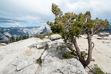 Sentinel Dome