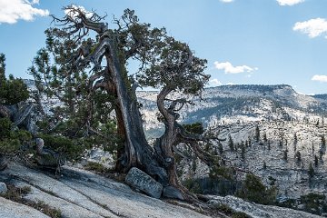 Olmsted Point