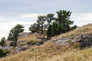 Scott's Bluff NM