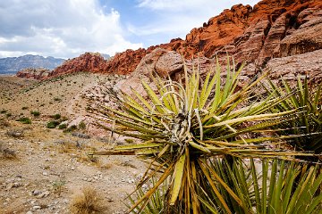 Red Rock Canyon