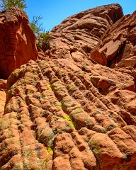 Valley of Fire SP
