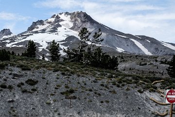 Mt Hood