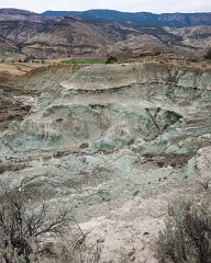 John Day Fossil Beds NM, Foree Area