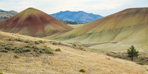 John Day Fossil Beds NM, Painted Hills