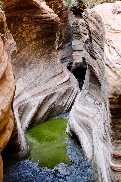 Zion National Park - click to continue