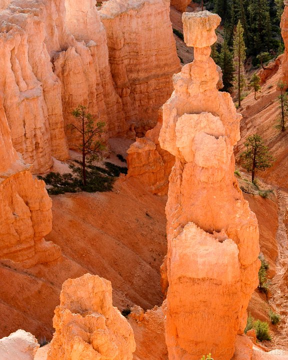 Bryce Canyon National Park - click to continue